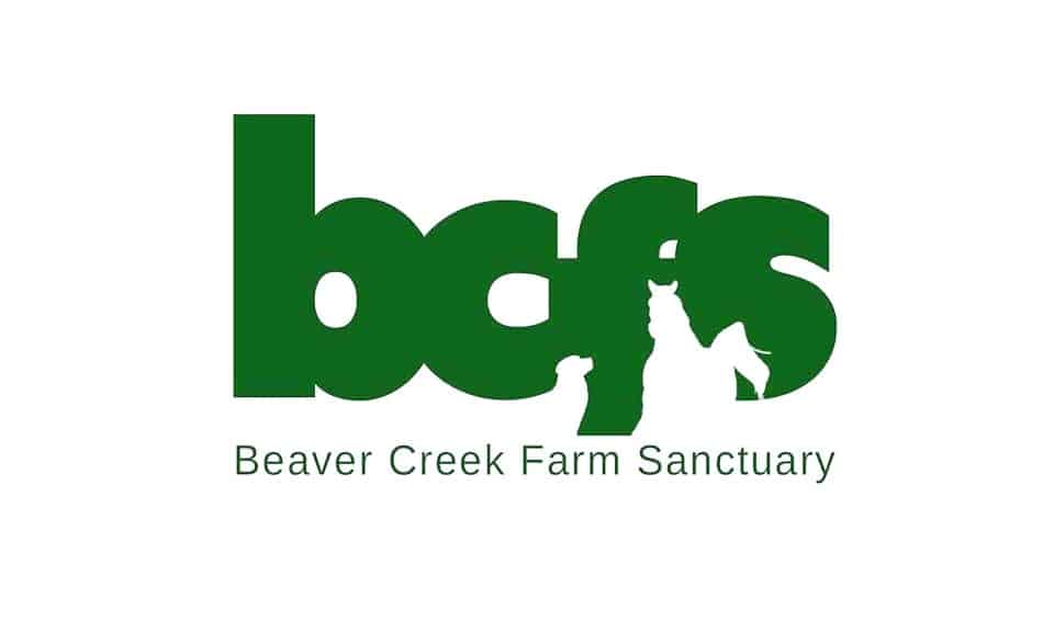Beaver Creek Farm Sanctuary in Video