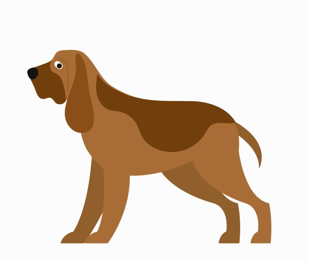 Bloodhounds