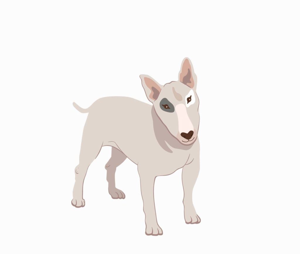 Bull Terriers