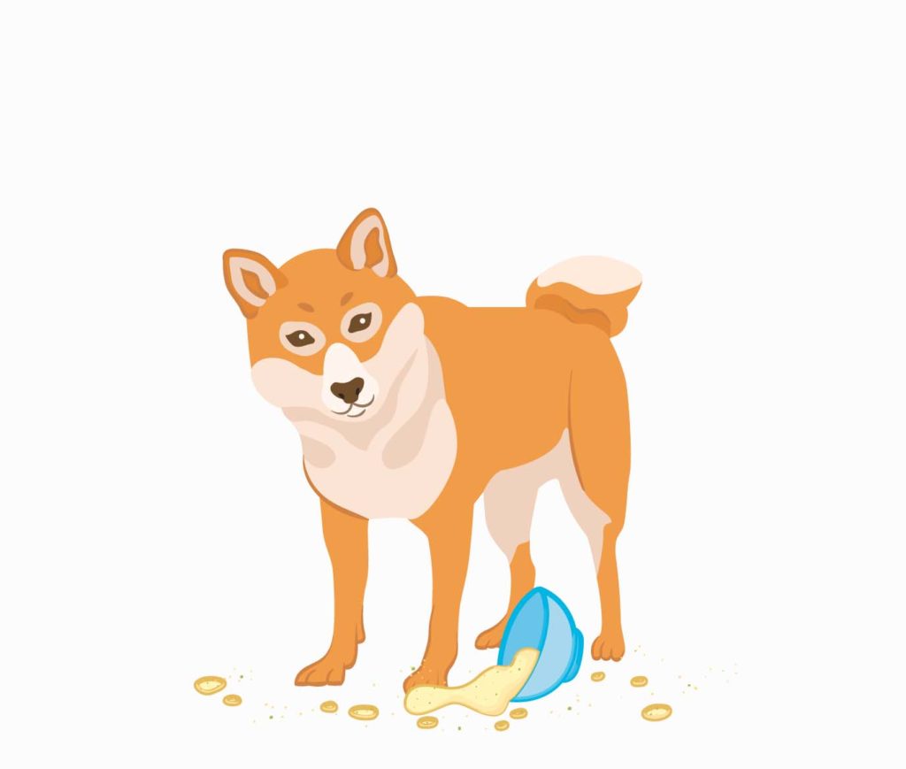 Shiba Inu