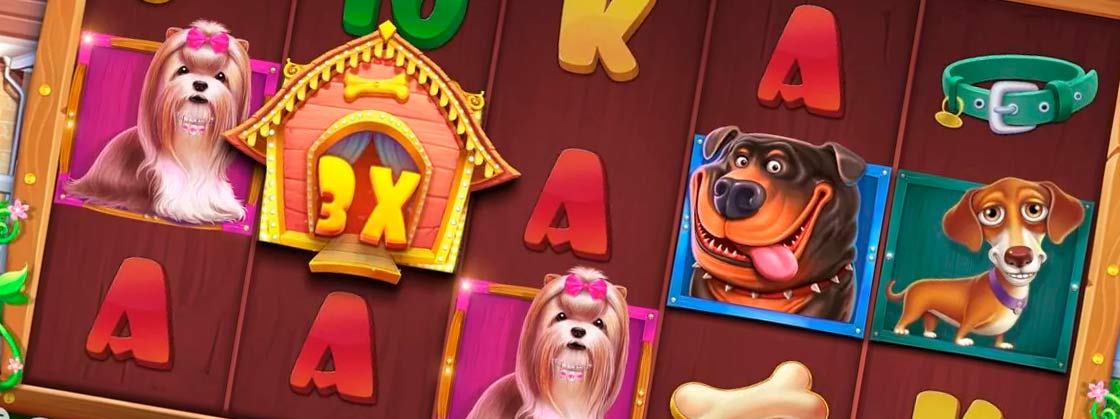 Dog-themed slot - Dog House